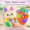 2 Pack Easter Color Sorting Sensory Toys for Toddler Easter Basket Stuffers