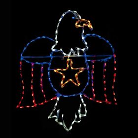 American Bald Eagle LED Display