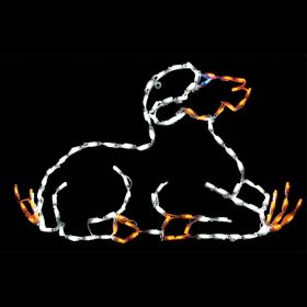 Lamb LED Nativity Display
