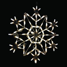 Crystal Snowflake LED Display - Warm White - 30 in