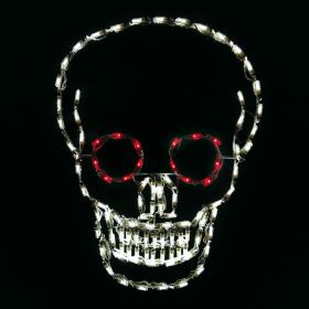 Skull LED Display