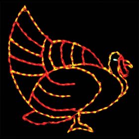 Fall Turkey LED Display