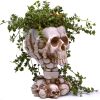 Skull Planter, Gothic Planters for Halloween Decorations Indoor/Outdoor Plants, Goth Flower Pots, Plant Pots, Skull Flower Pot, Plant Pot