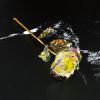 2Pcs Realistic 24K Golden Foil Rose Gold